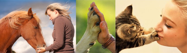 Professional Animal Communicator Certification